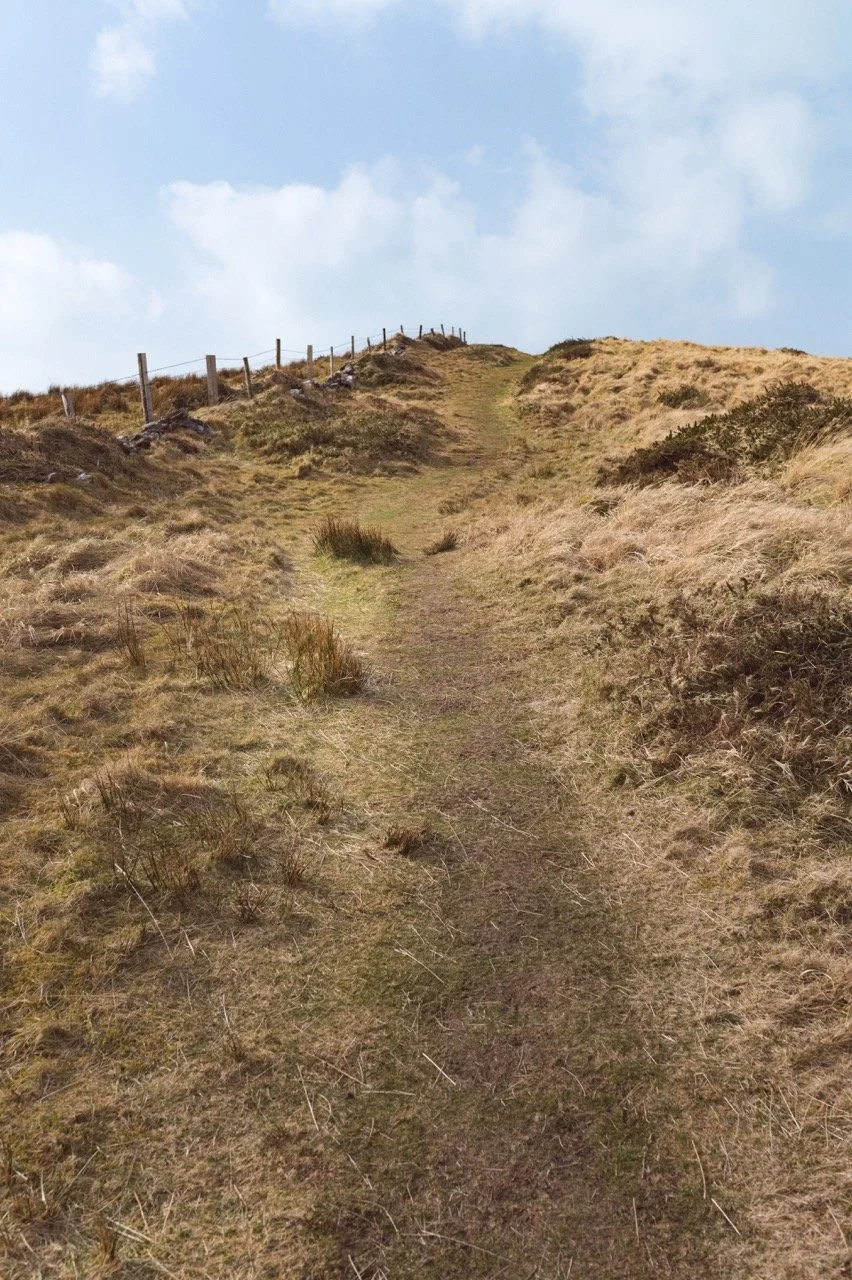 These photographs are from County Kerry, Ireland.    

I was trying to give myself permission at the residency to play, explore and photograph things that spoke to me, even if they were not part of a story or project. This was at the top of a hill ov