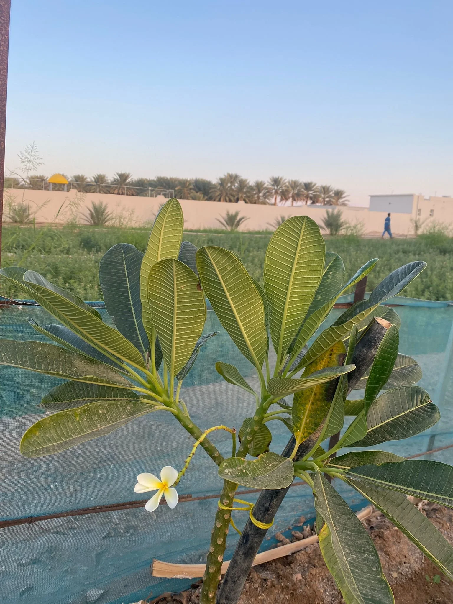 Encouragement, learning, and peaceful moments in a situation that you can’t find peace. — Hiba (Palestine)