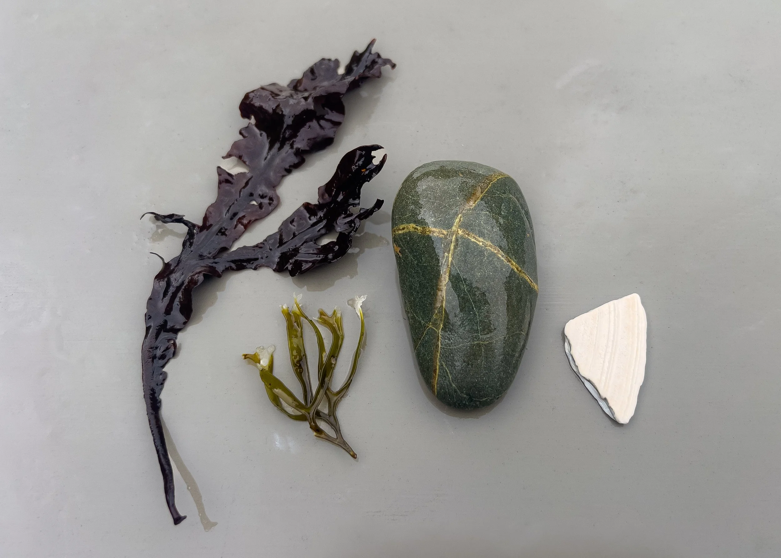 I never create still life images. So I wanted to try.    

When I was walking my dog on the beach, I saw this rock that literally has a cross on it, which sort represents my faith. I always find God, Mother Earth, or whatever it is, this greater powe