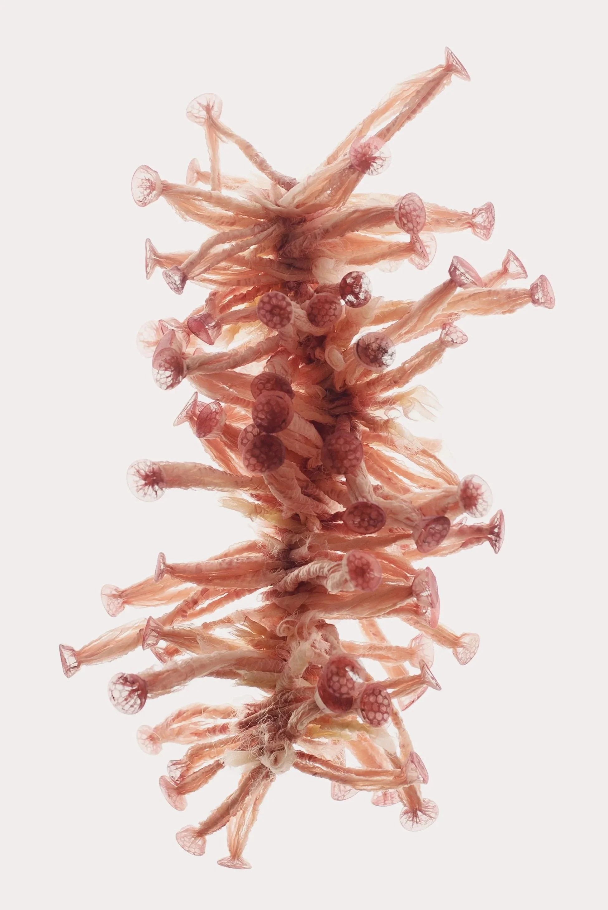 Heat-manipulated organza with inserts of lasercut textiles