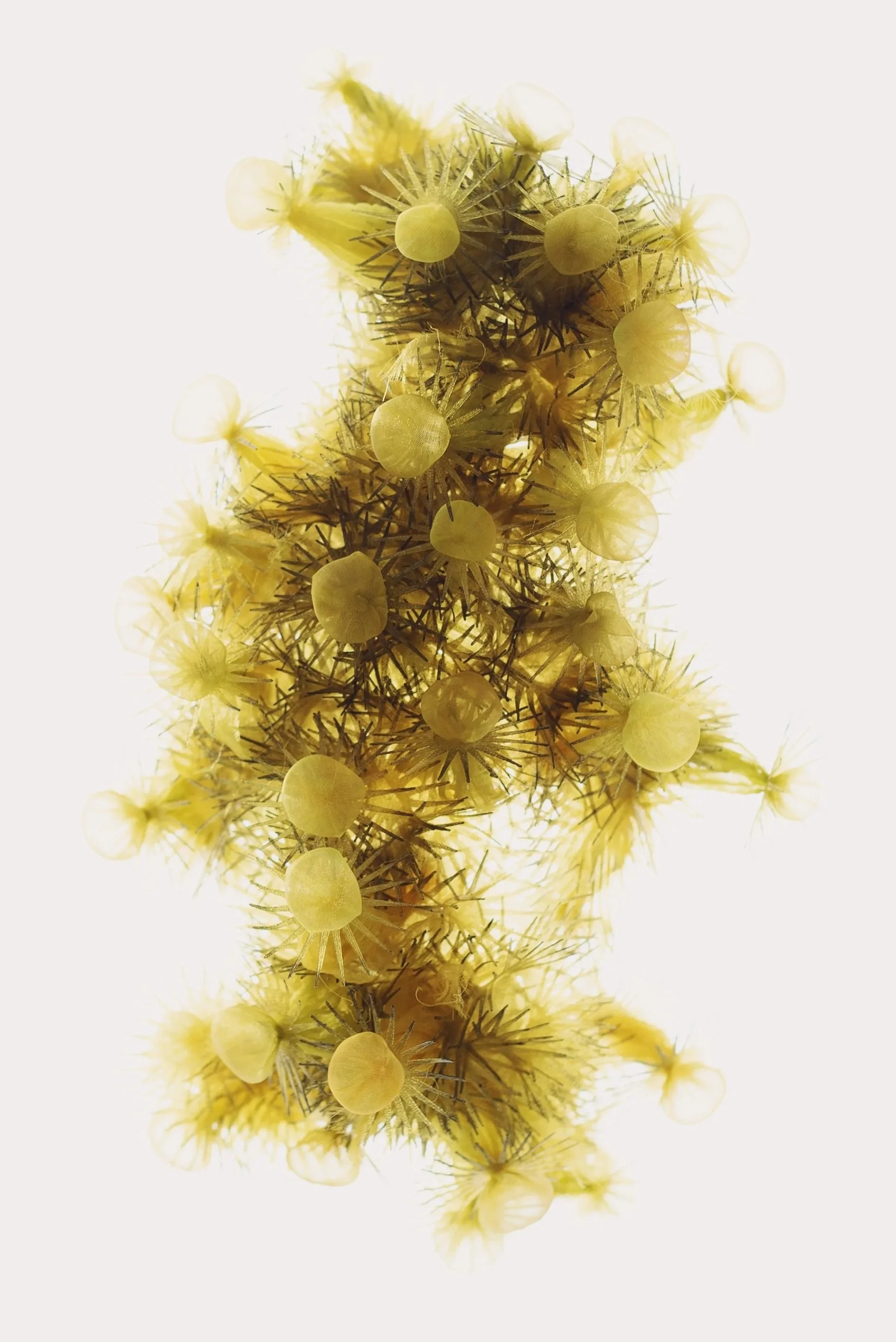 Heat-manipulated organza and 3D-printed modules