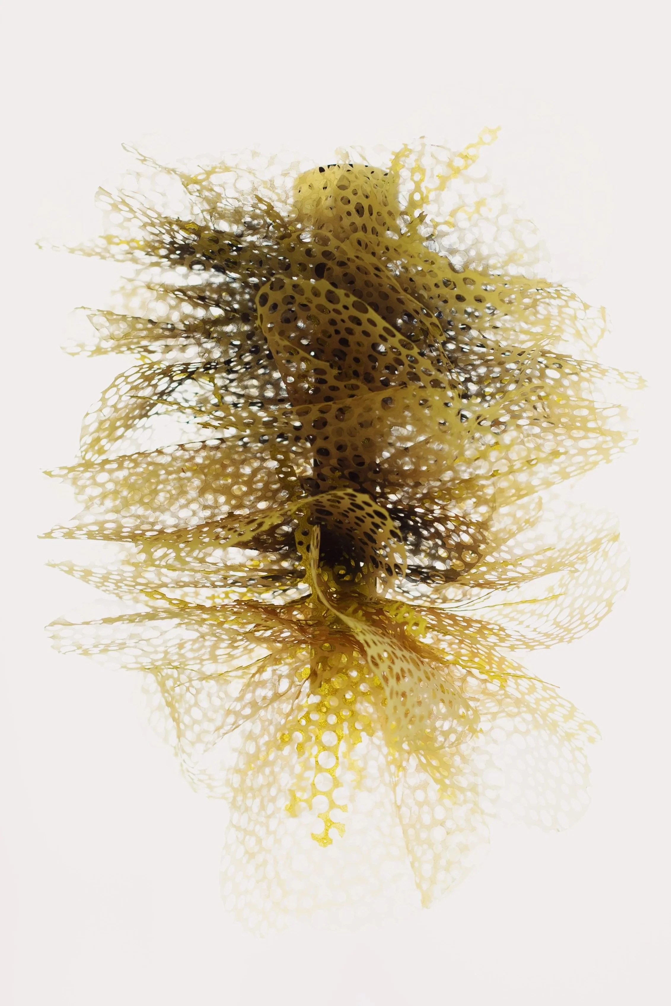 printed, lasercut and 3D-printed elements combined