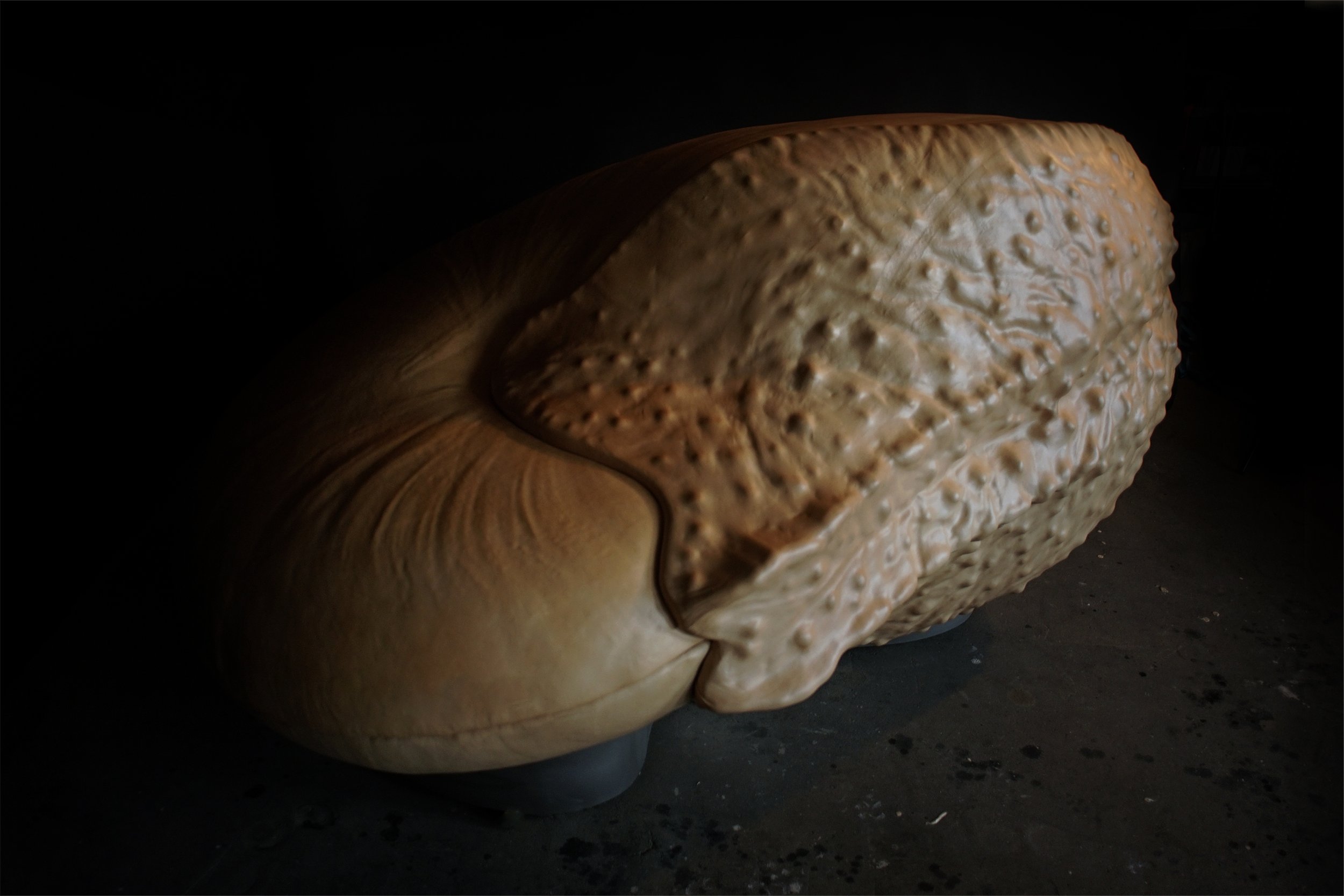 Giant nautilus covered in leather, made with 10Tons for geomuseum Faxe.