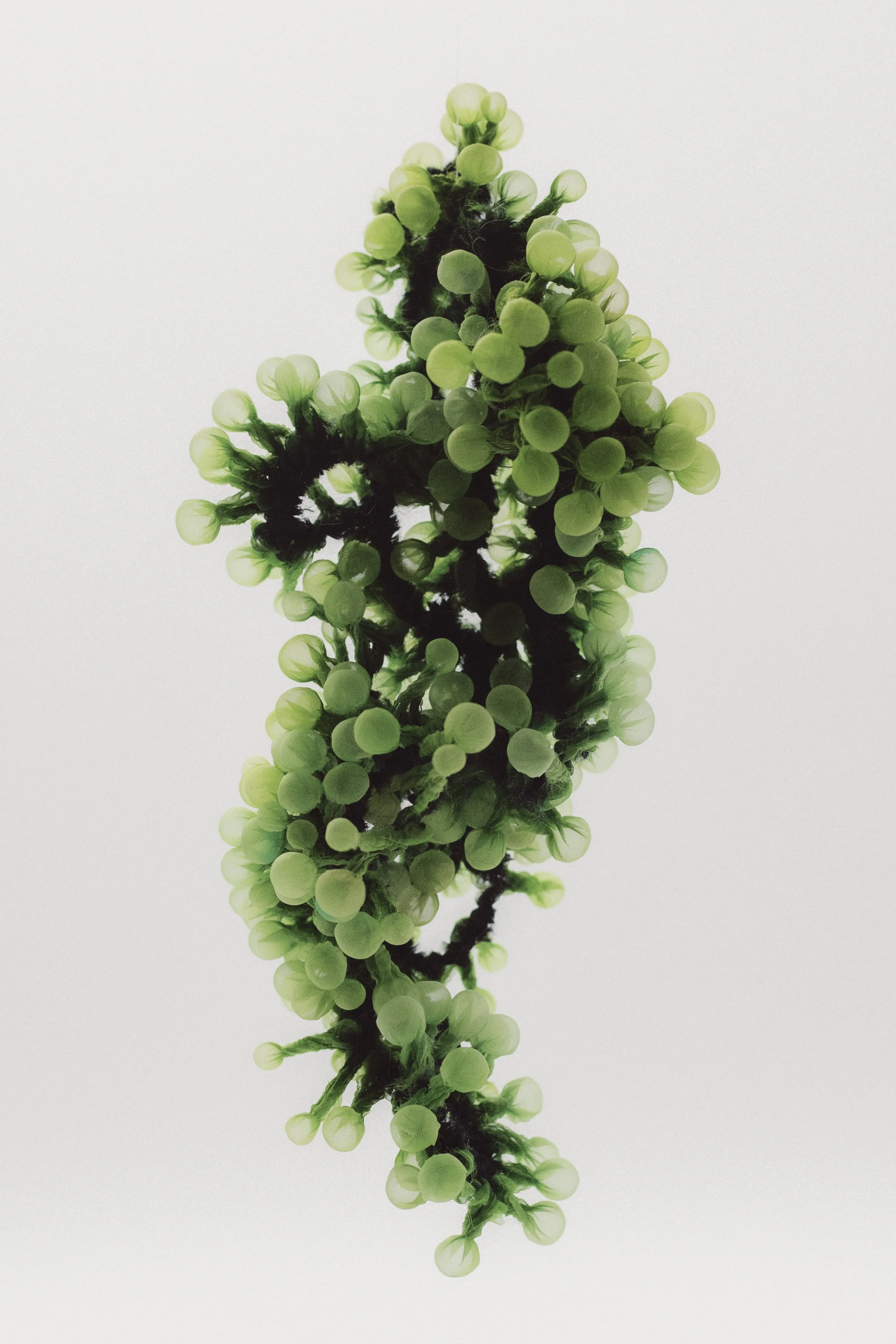 Heat-manipulated organza and digital textile print.