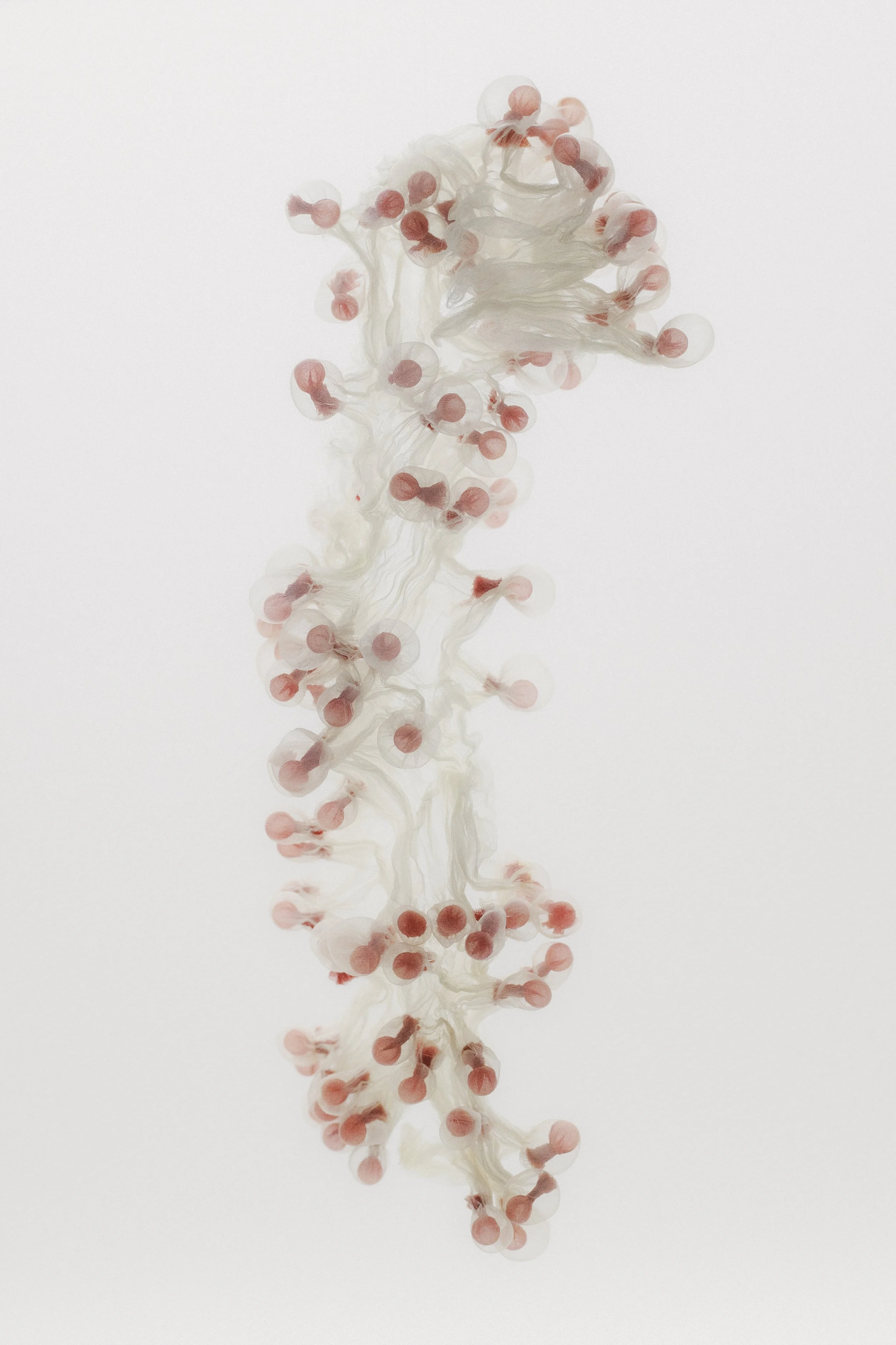 Heat-manipulated organza