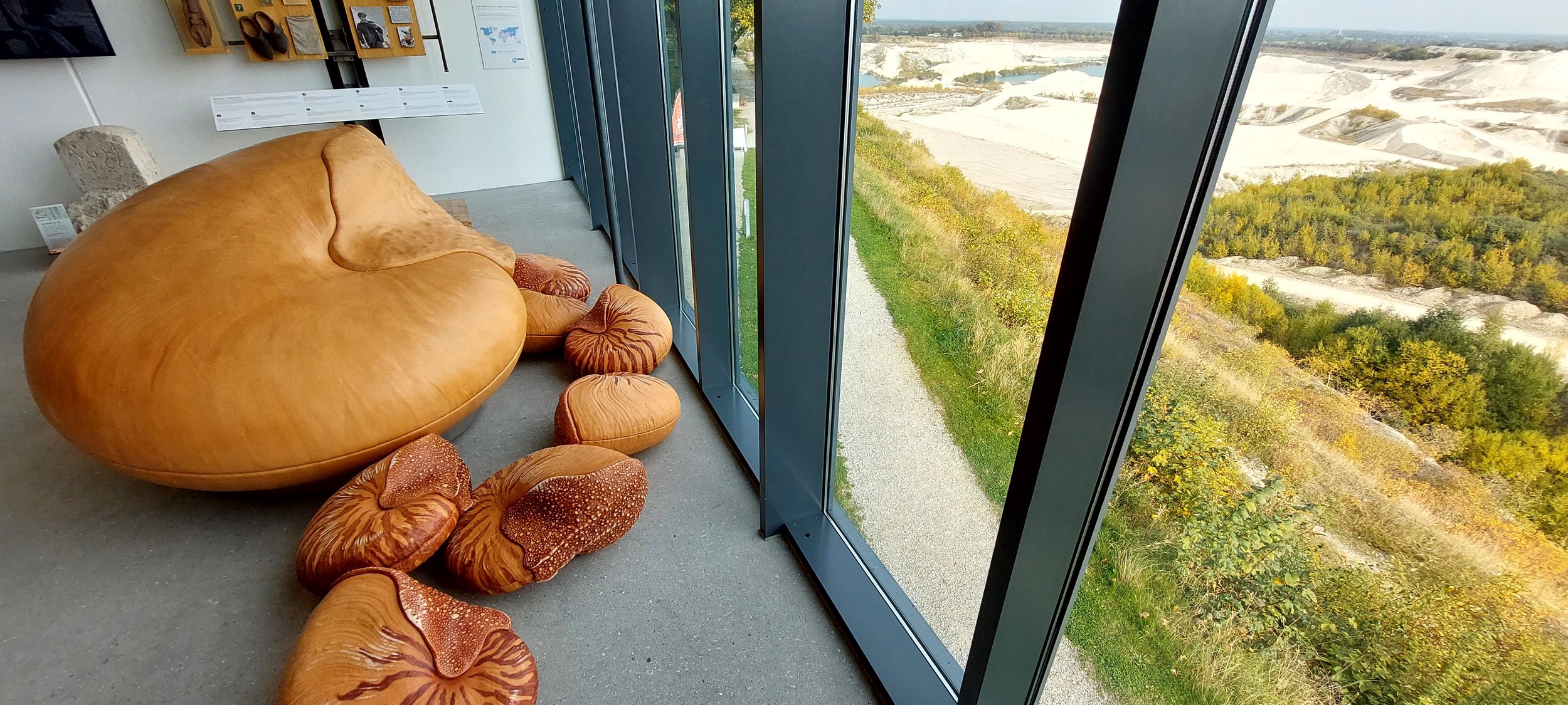 Nautilus' covered in leather, made with 10Tons for geomuseum Faxe.