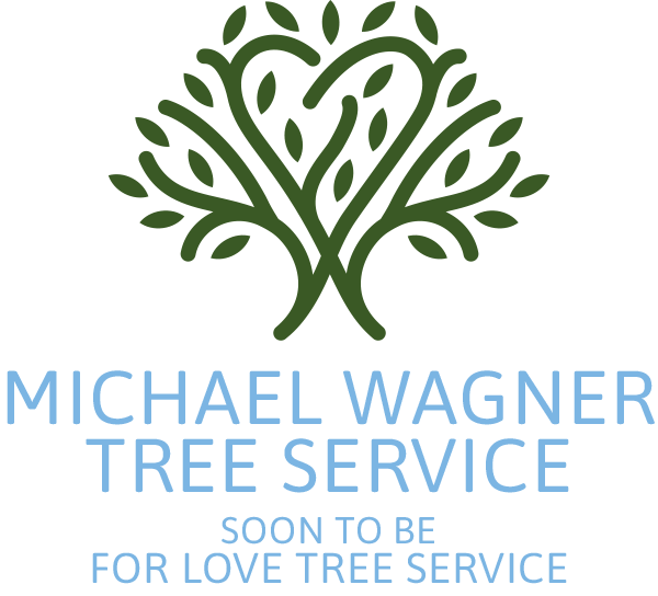 For Love Tree Service
