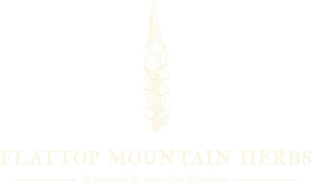 Black background with a white illustration of a mullein plant and the text 'FLATTOP MOUNTAIN HERBS for prevention & recovery from life's ailments'.