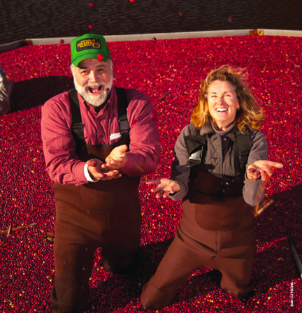 HISTORY ON TAP: CRANBERRIES