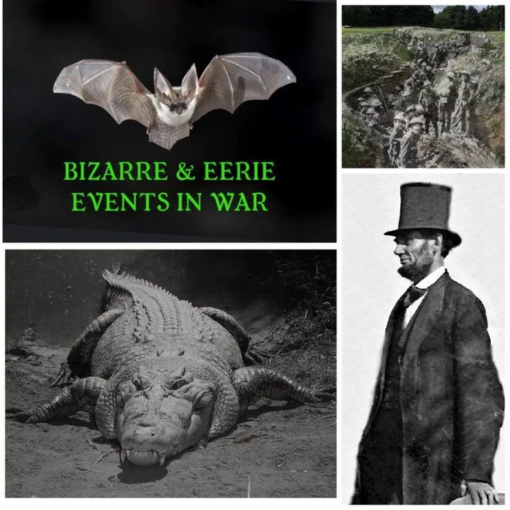 Ghosts, zombies, demons&mdash;even werewolves. 🐺👻

Join Joe Yukna from the Cape Cod Military Museum for a wild ride through the eeriest corners of wartime history. From the U.S. military&rsquo;s bizarre bat bombing experiment 🦇 to the deadliest cr