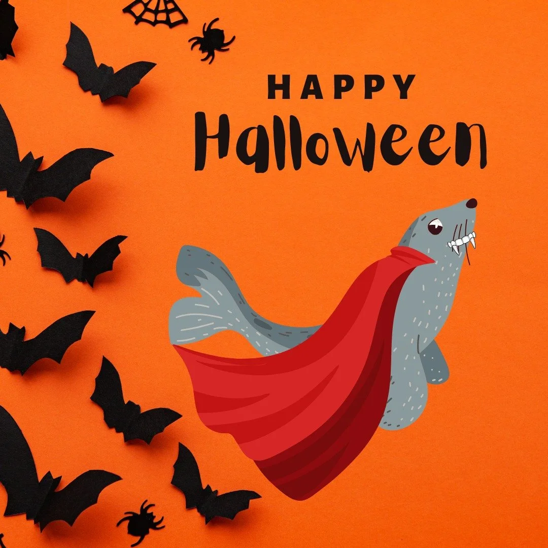 From all of us at the Cape Cod Maritime Museum (especially Neal!), we wish you a safe and spooky Halloween!