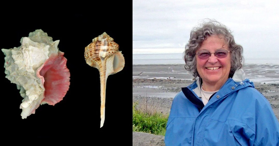 🚨 TONIGHT at the Museum! 🍻🐚

Join us TONIGHT, 5:00&ndash;6:30 PM (January 22nd) at the Cape Cod Maritime Museum for History on Tap: Shells of the Everyday World with shellfish biologist and conservation expert Sandy Macfarlane. From tiny, delicate