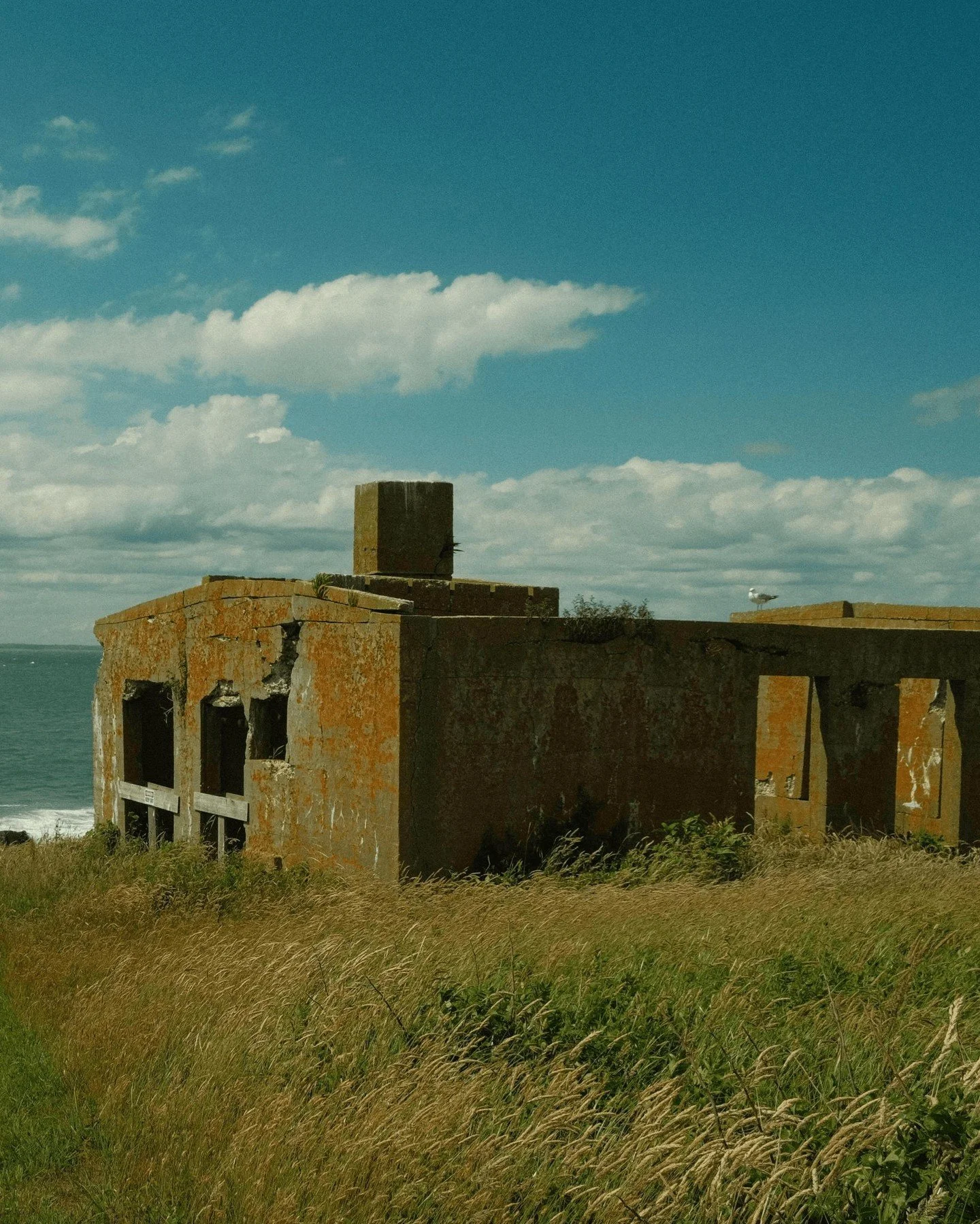 History on Tap: The Remarkable History of Penikese Island

🗓 Thursday, April 9, 2026
🕔 5:00&ndash;6:30 PM
📍 Cape Cod Maritime Museum

From a 19th-century natural history school to a leper colony&mdash;and today, a critical sanctuary for endangered