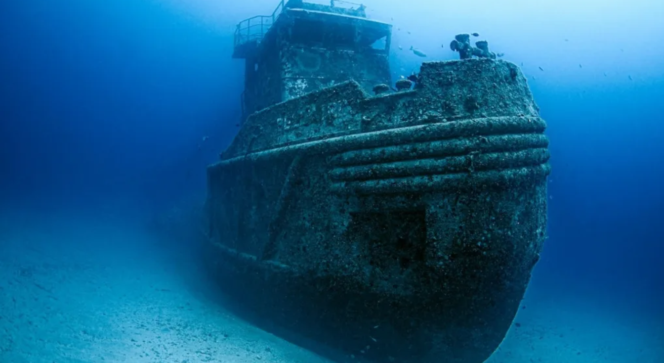 HISTORY ON TAP:  BIODIVERSITY OF SHIPWRECKS