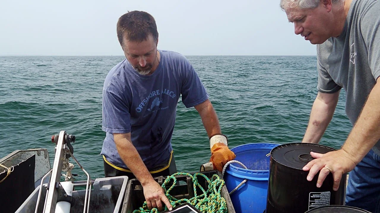 Next Week!  History on Tap: Stormy Seas! Understanding the Changing Ocean around Cape Cod
 
🗓 Thursday, May 7th, 2026
🕔 5:00&ndash;6:30 PM
📍 Cape Cod Maritime Museum

Cape Cod&rsquo;s ocean is not standing still. Powerful shifts in the Gulf Stream