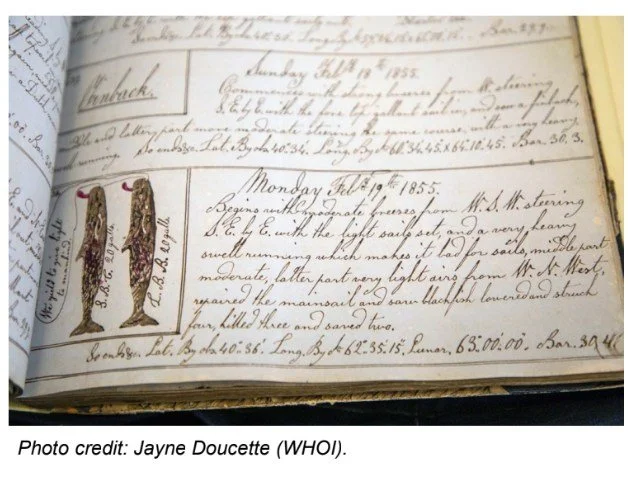 What if the key to understanding today&rsquo;s changing climate was hidden inside 200-year-old whaling logbooks? 🌎🌊📖 

History on Tap: Uncovering Climate Clues From New England Whaling Ship Logbooks
 
🗓 Thursday, June 11th, 2026
🕔 5:00&ndash;6:3