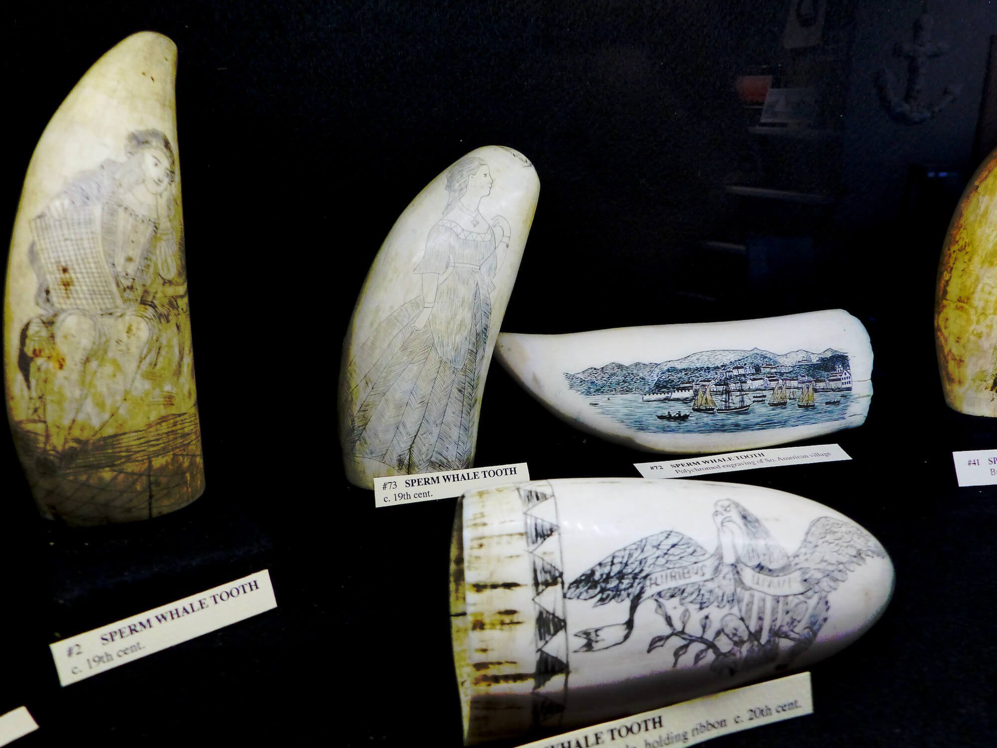  This scrimshaw exhibit is the largest private collection of scrimshaw displayed on Cape Cod. Collected by Elizabeth and William Graham over ten years of marriage, this extensive collection includes carved ivory, whale teeth, bone, baleen, and other 