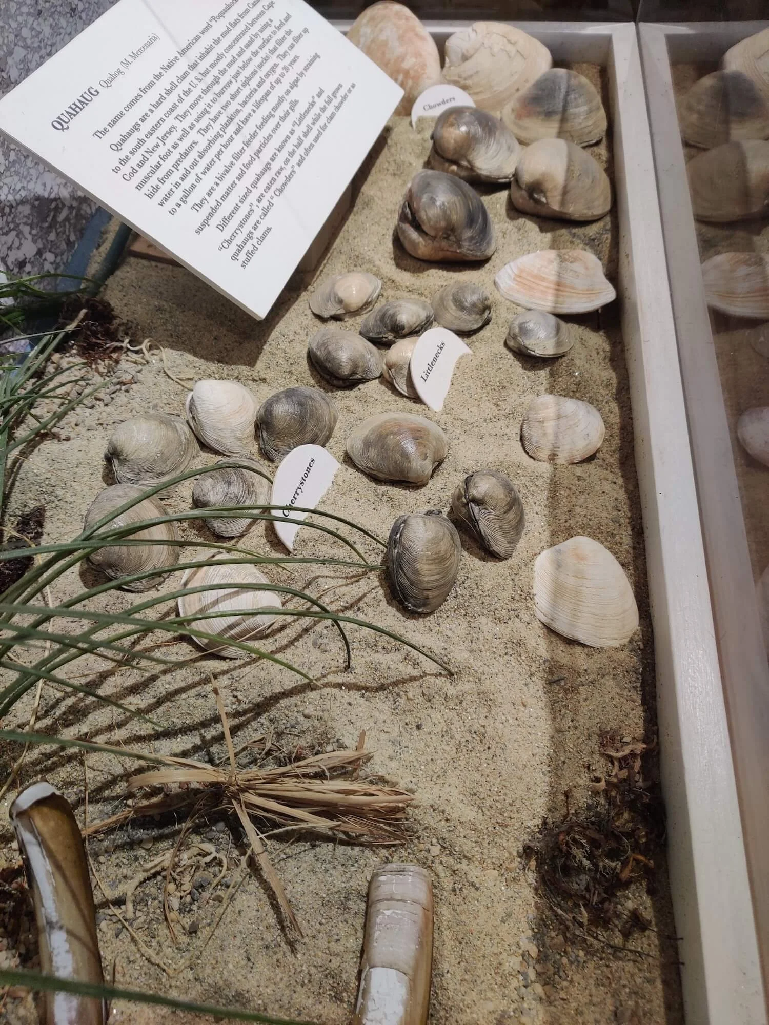 Cape Cod Maritime Museum