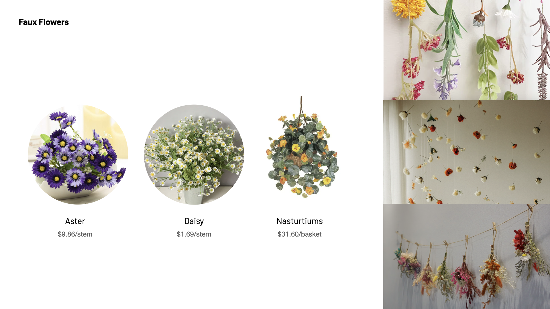 Gunstock Mountain Wide-Eyed_01 .014.png