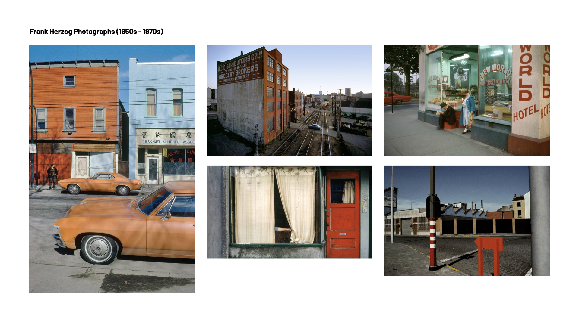 Gunstock Mountain Wide-Eyed .004.png