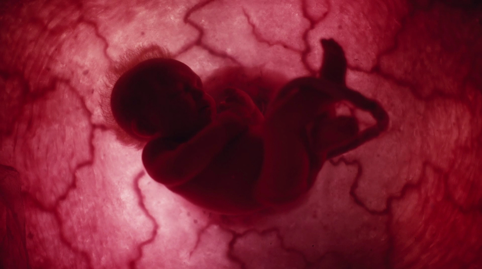 Unconscious Bonds . Student Film Pitch Deck. Production Research