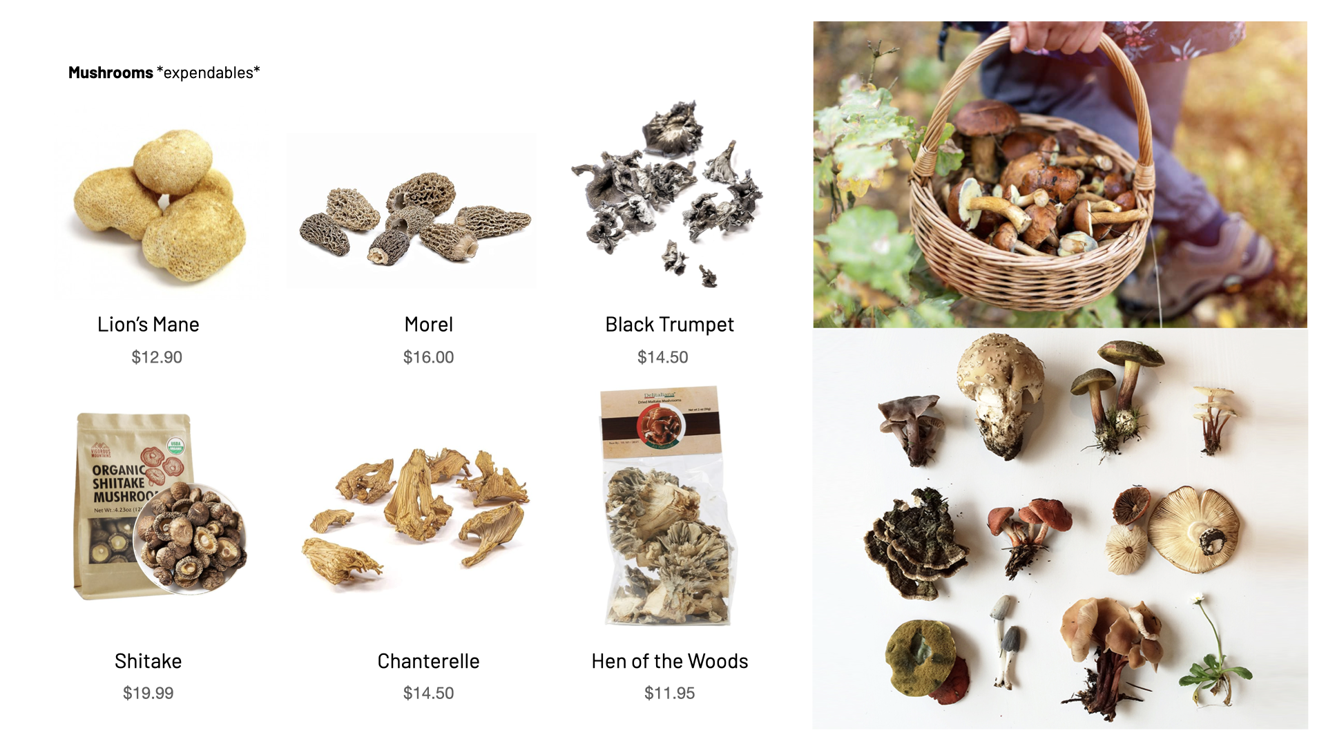 GUNSTOCK MOUNTAIN_02.005.png