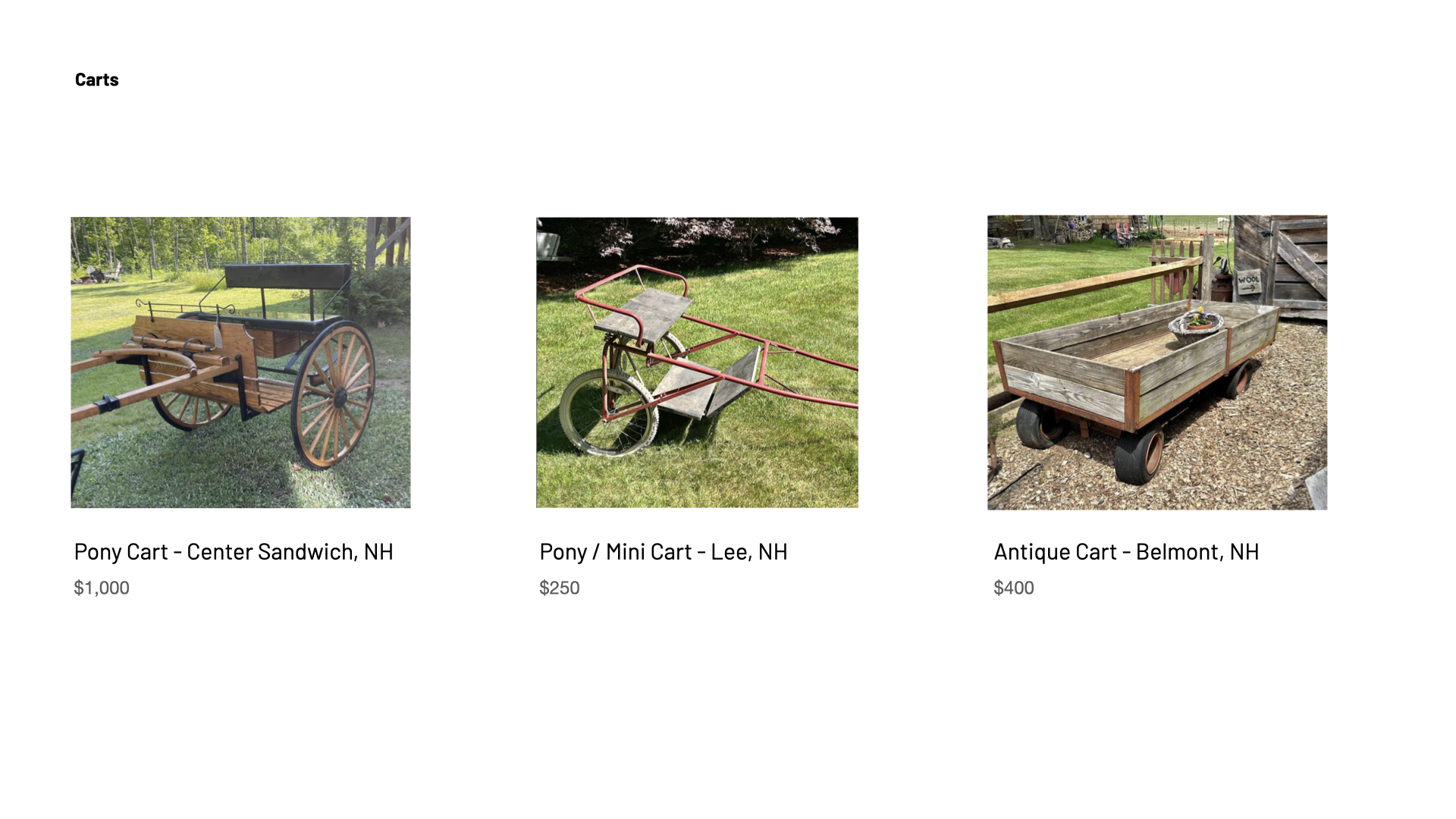 GUNSTOCK MOUNTAIN_03.009.png