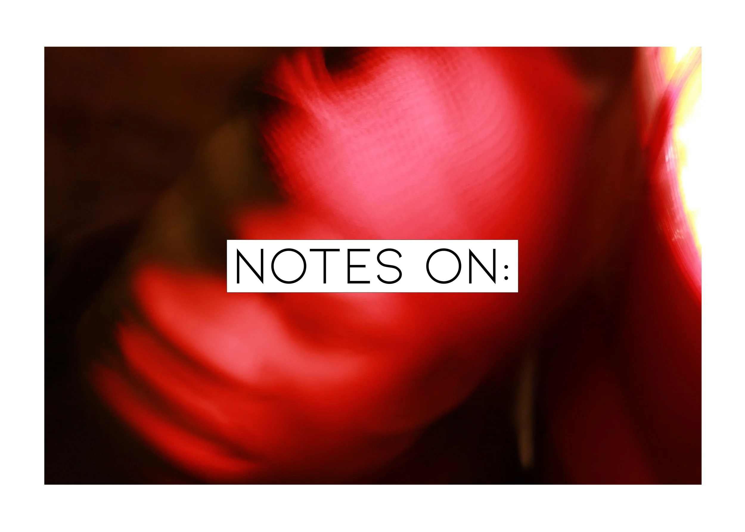 Notes On: Authors