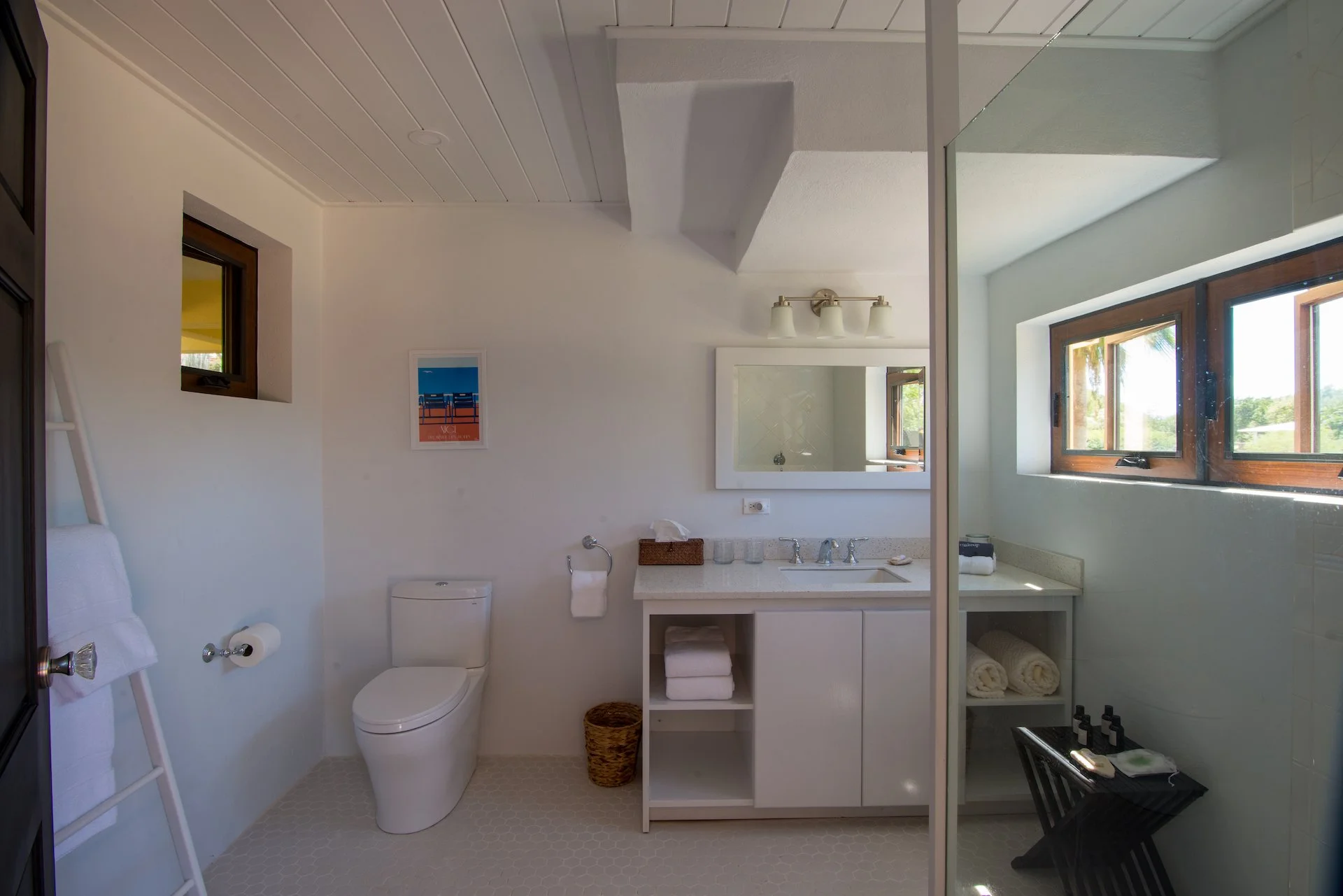 Modern bathroom with a toilet, vanity with sink, mirror, towel rack, and decorative ladder. Light streaming through windows and soft lighting fixture above the mirror.