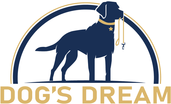 Dog's Dream