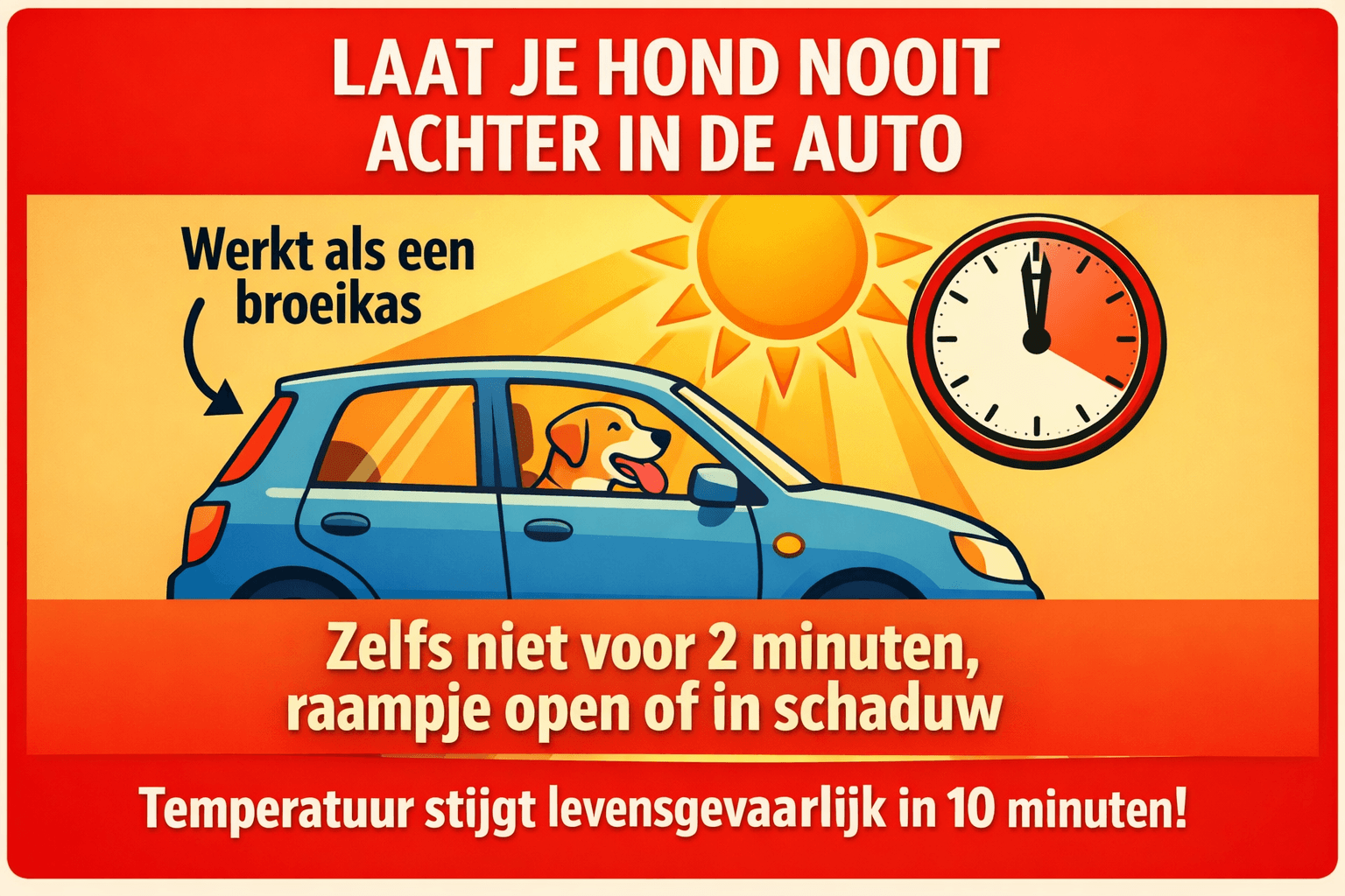 Hond in auto