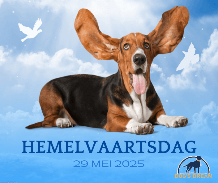 DD_Hemelvaartsdag.png