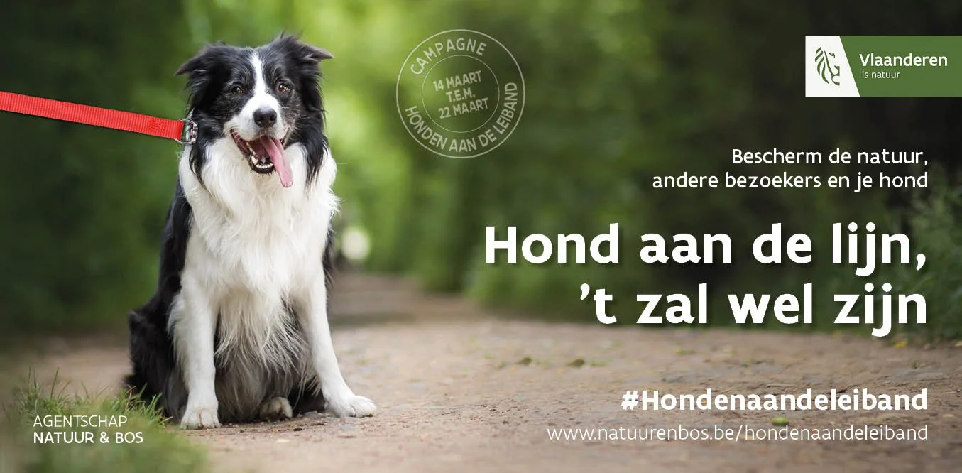 Honden aan de lijn, dat is fijn!