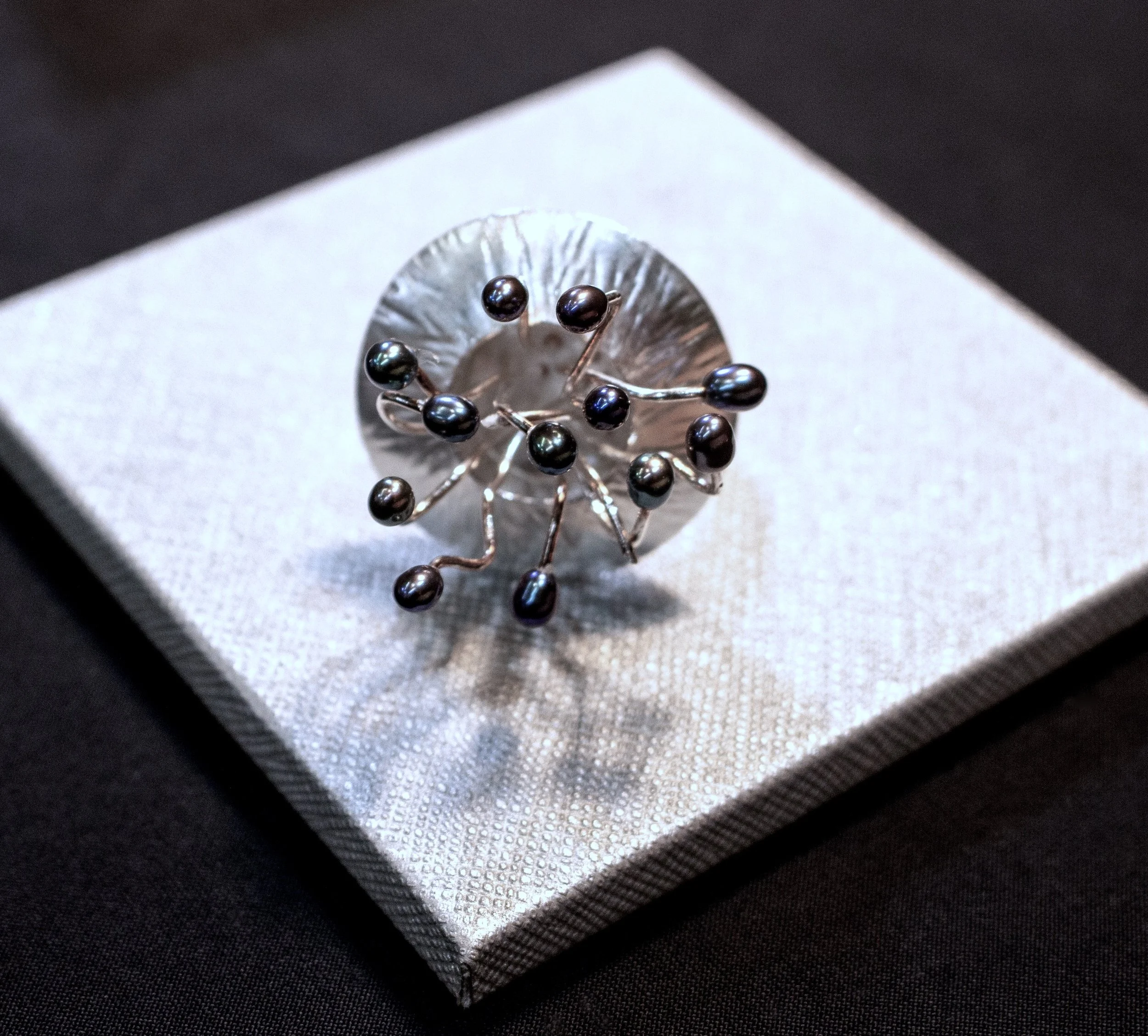 Catherine Skarzenski