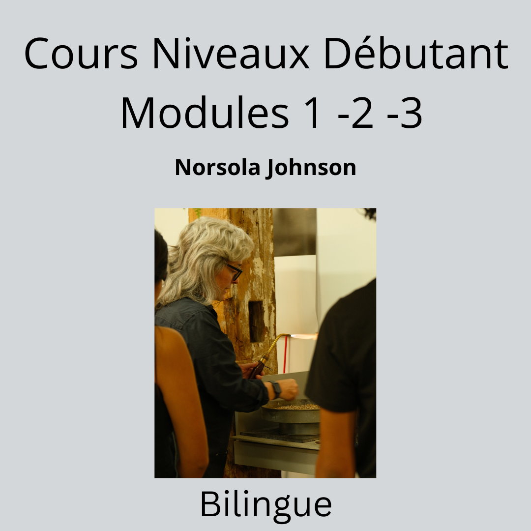 Modules 1-2 ou 3 - Norsola Johnson, mercredi après-midi, du 5 novembre au 17 décembre 2025