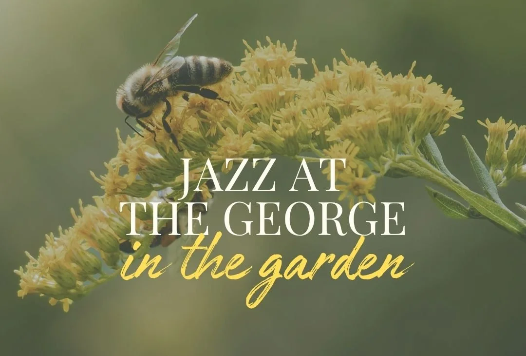 Jazz at The George – in the garden