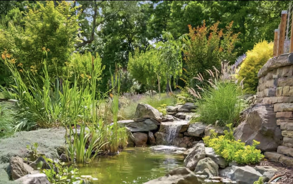 beausoleil.pond.jpeg