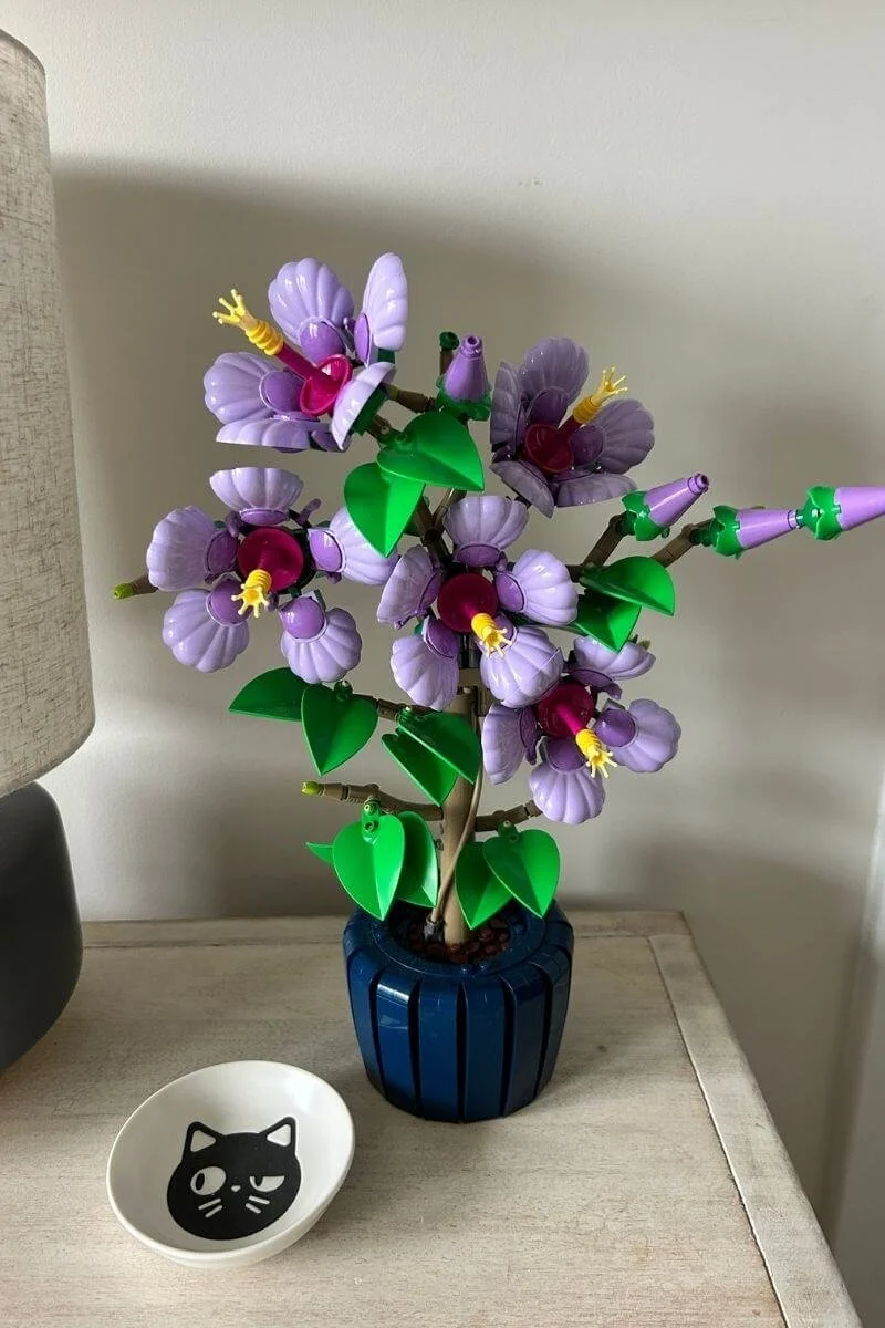 lLEGO Botanicals Hibiscus Flower Building Set displayed on dresser as home decor, a unique gardening gift for adults