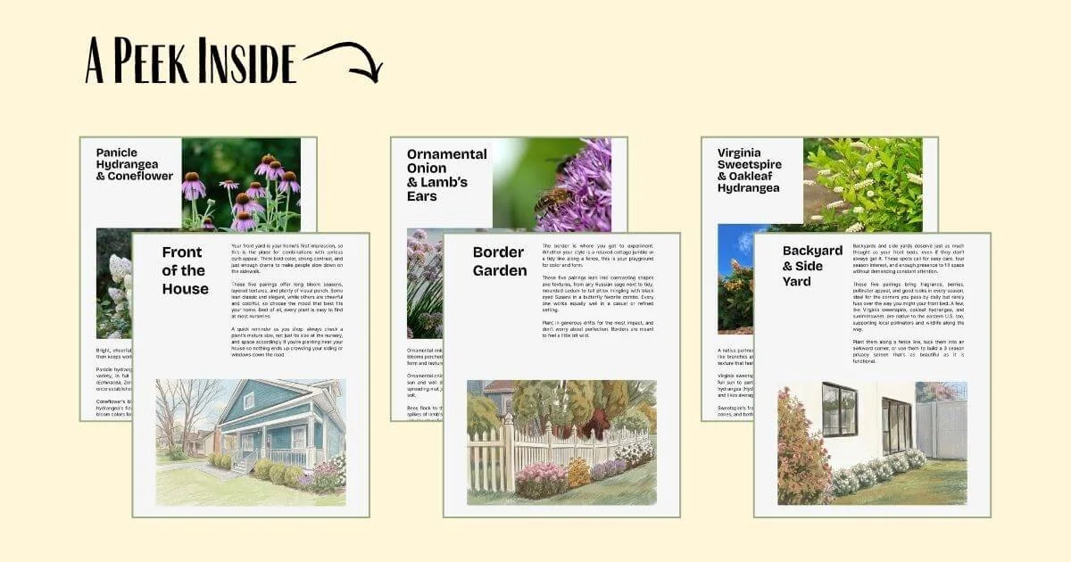 plant pairing guide digital mockup sheets