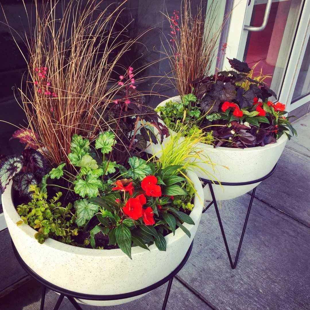 How to Design Unique Containers for Shade