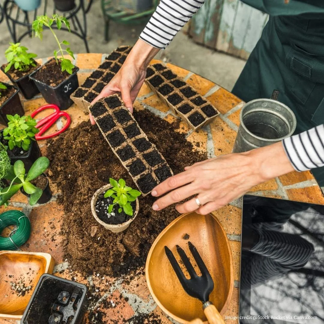 10 Money Saving Garden Tips for Beginners