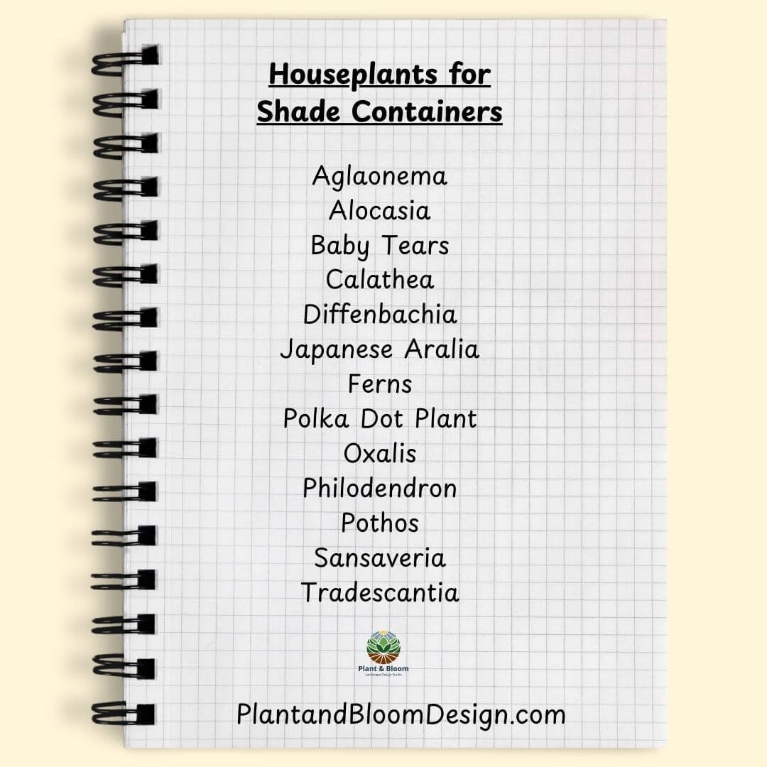 graph paper notebook showing list of houseplants that make great container plants for shade