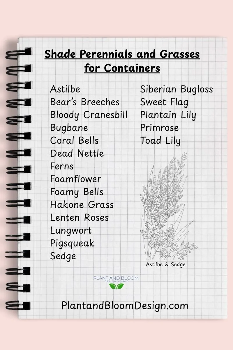 graph paper notebook with text listing perennials and grasses for containers for shade and graphic rendering of astilbe and cares