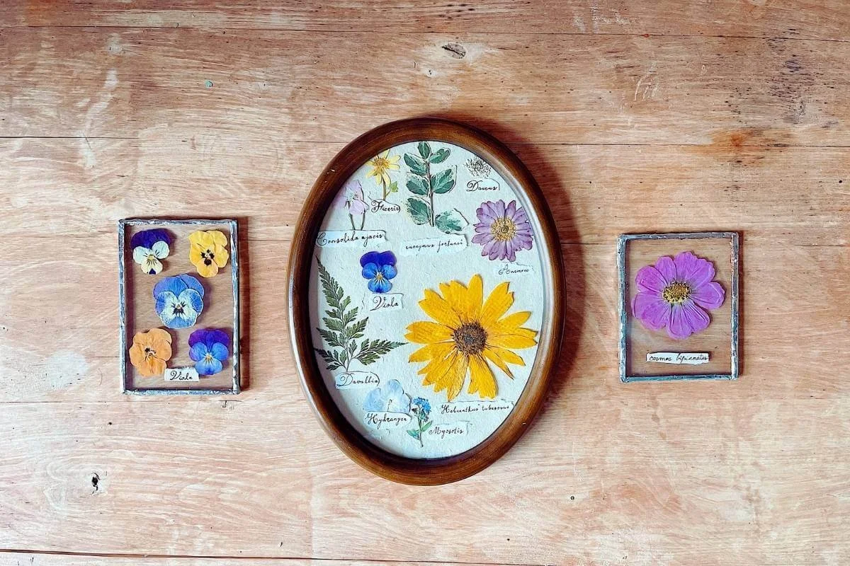 Three frames of pressed botanical flowers displayed on wood surface, showing creative pressed flower art ideas