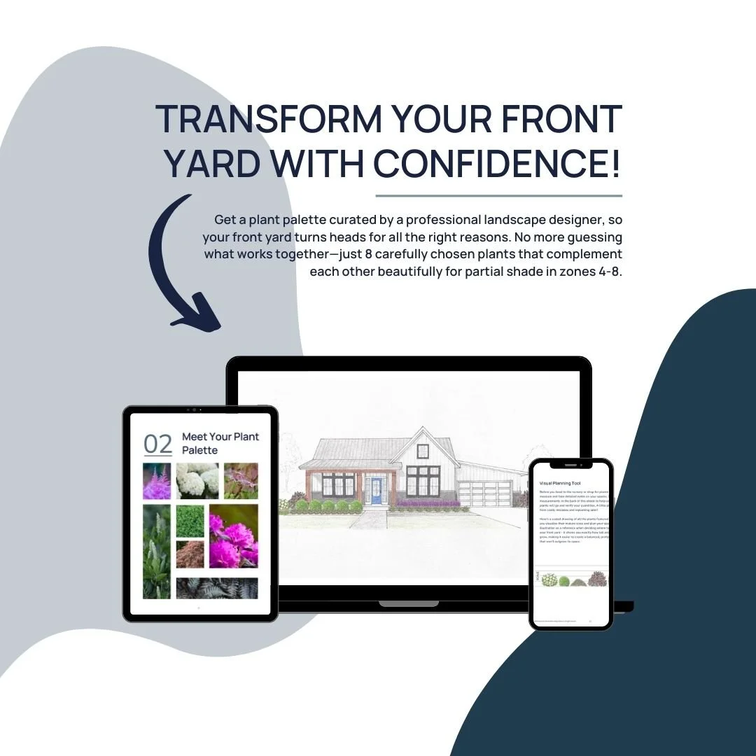 Front yard planting design with shade plants — zones 4-8 landscape illustrations and photos on computer and phone screens.jpg