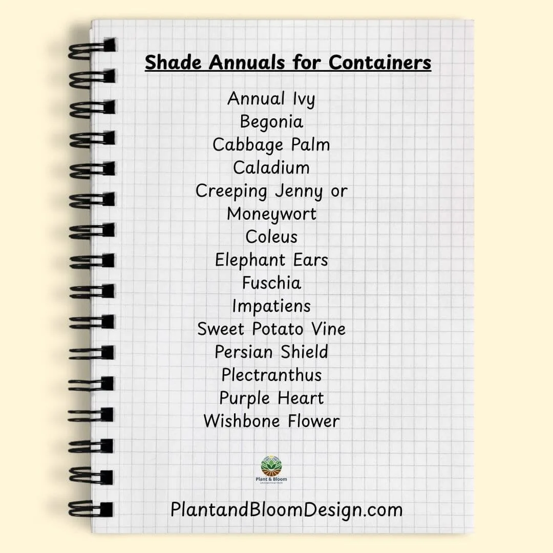 spiral notebook open to page showing list of shade annuals to use as container plants for shade