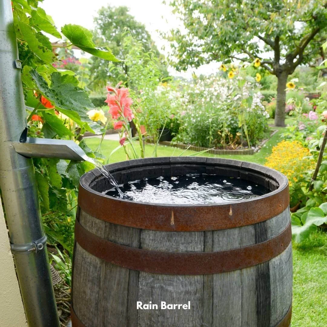 water from downspout being diverted into rain barrel with outdoor garden landscape in back