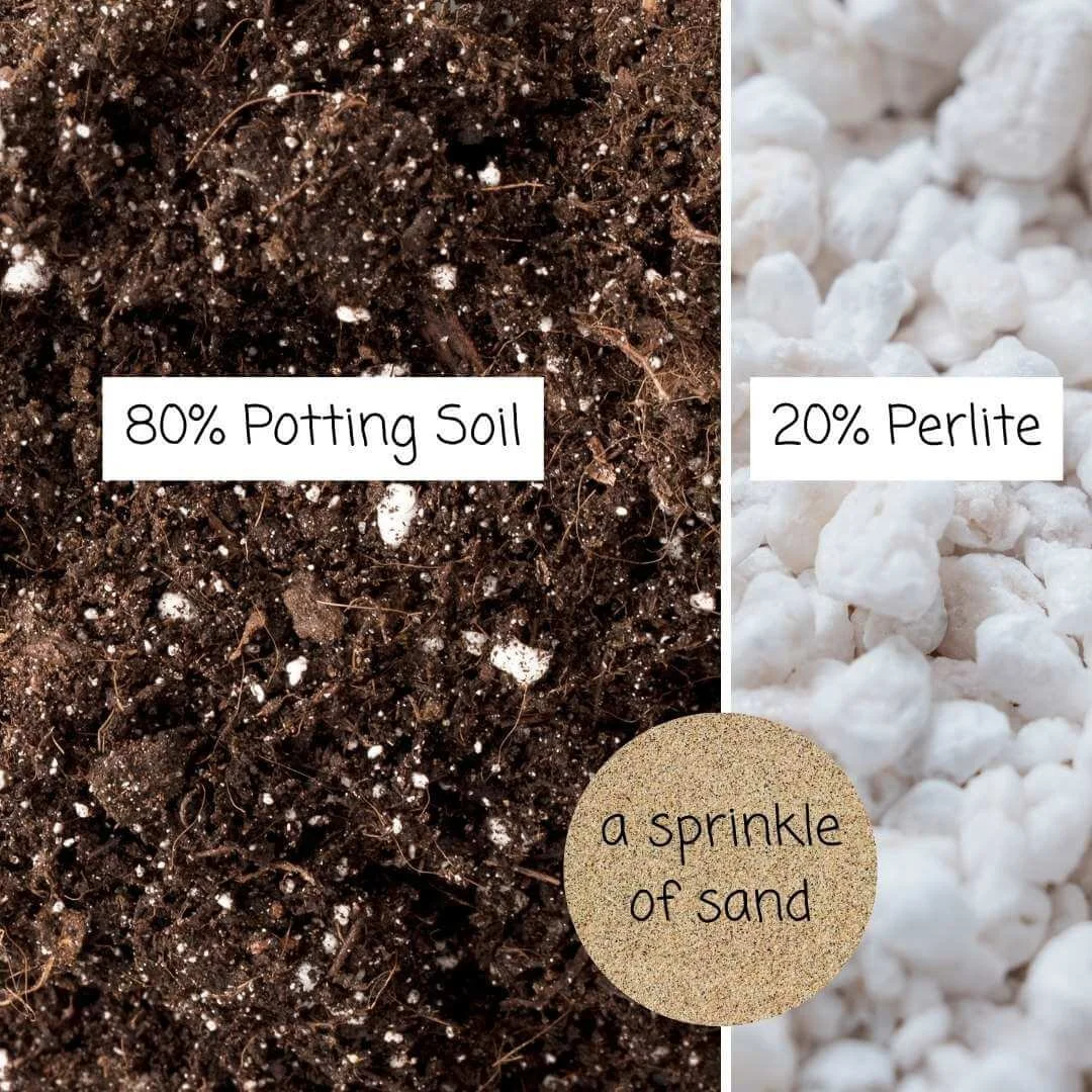 Labeled close-ups of potting soil, perlite, and coarse sand for a rosemary potting mix.