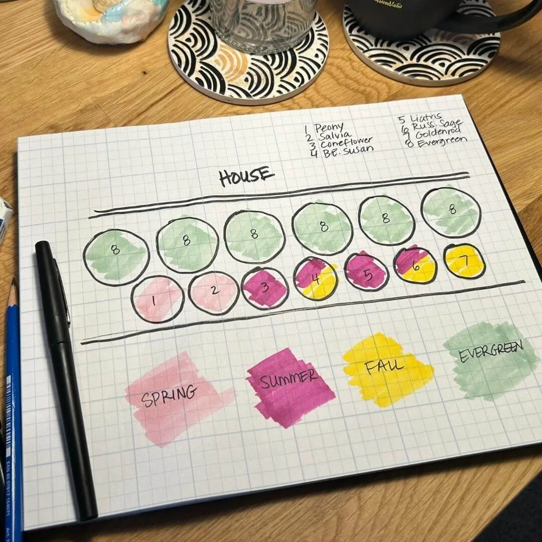landscape design drawing diagram of perennial plant bloom times on graph paper pad on wood desktop surrounded by pen, pencil, eraser, coasters, cups