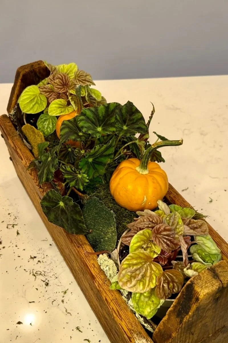 thanksgiving table centerpiece with pumpkins on marble countertop white interior in back